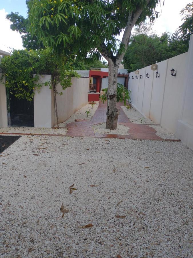 Casa Nicte-Ha Valladolid Βαγιαδολίδ Εξωτερικό φωτογραφία